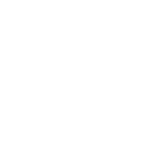 Partner 2